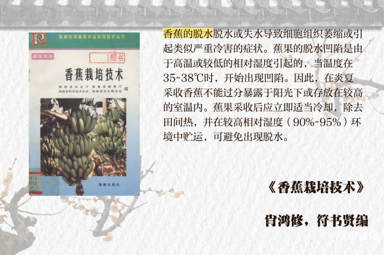 香蕉种植区域解析，一区、二区、三区的特色与要点精品香蕉一区二区三区_成人区人妻精品