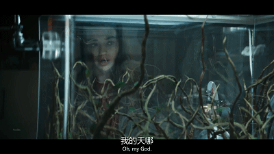 新闻资讯，欧美成人在线内容规范与合法性探讨欧美成人一区二区三区在线高