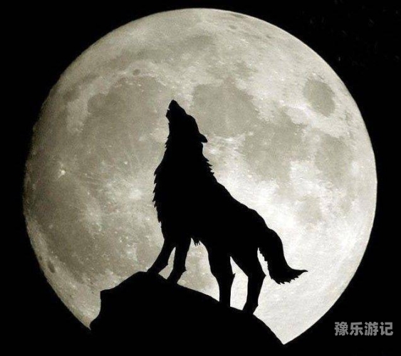 新闻资讯网站不提供狼友视频国产精品首页的详细解析