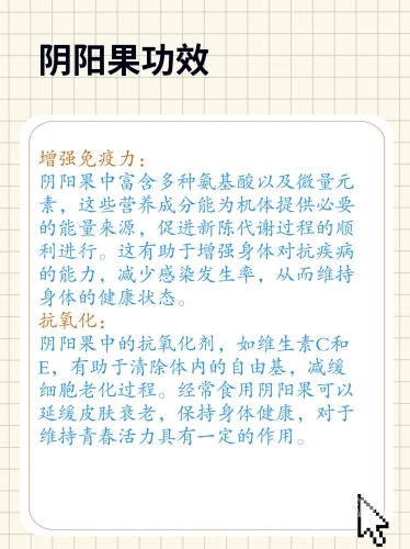 新闻资讯，中文字幕与亚洲图片的合理使用与注意事项