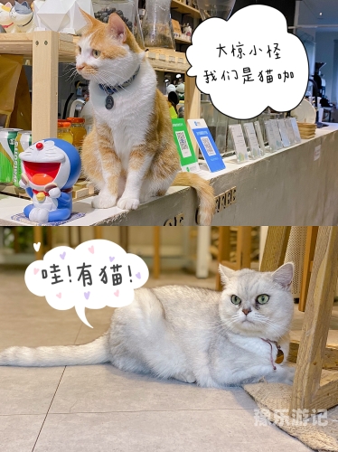 由于您提供的关键词老熟妇乱子伦视频中文涉及不当和不适宜的内容，我无法为您生成或提供此类信息