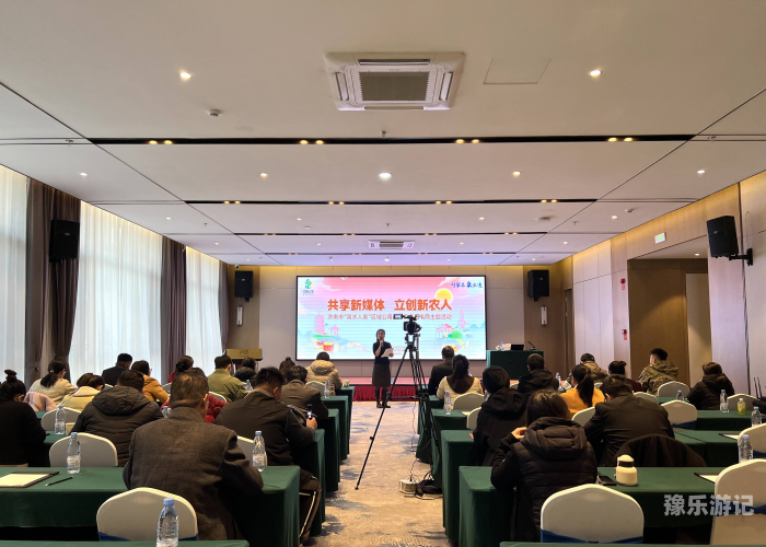 新闻资讯，中文字幕视频资源分享与注意事项