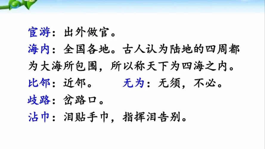 夜以继日，青青子衿的秘密探索，新闻资讯的深度解读天天夜夜的