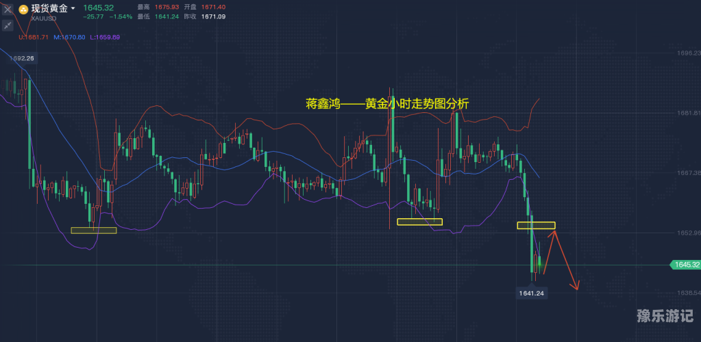 久久九九全国免费政策全面解读