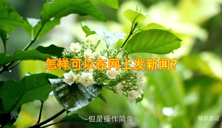 青青热久免费精品视频在线观看，新闻资讯与网络视频的合理利用