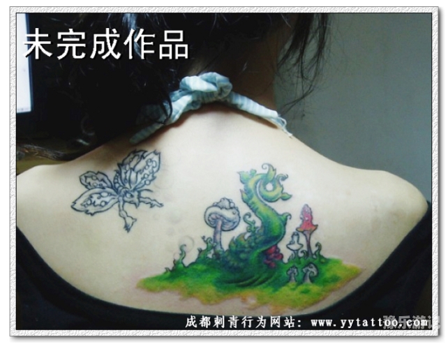 国产色视频网站的发展与影响国产色视频网站主播纹身网站
