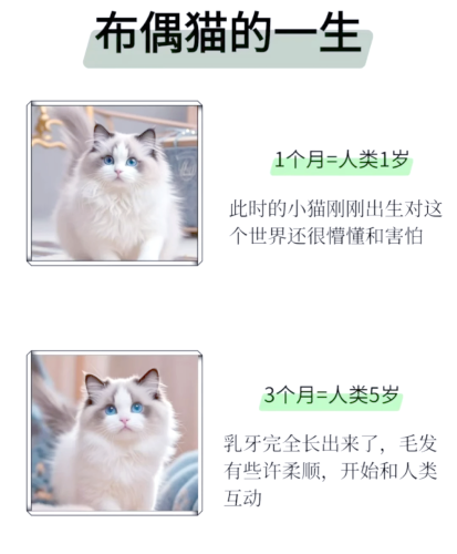 如何正确看待和选择正规、健康的宠物资讯网站猫咪av最新永久网址无码在线观看