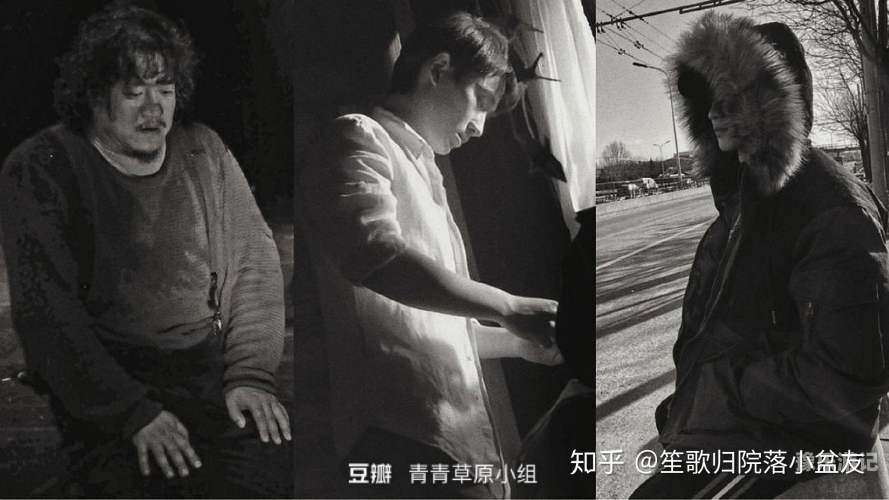 国产影视作品中的精品，青青草原的独特魅力