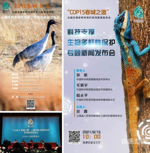 在线欧美成人国产网络新闻资讯的多样性与安全性探讨