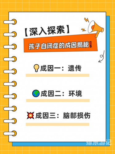 日本视频区一与区二，深入了解与探索