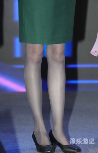 中文字幕欧美制服系列，丝袜下的时尚与魅力