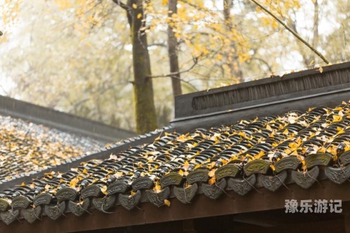 青青草原影院伊人风采—文化与艺术的完美融合