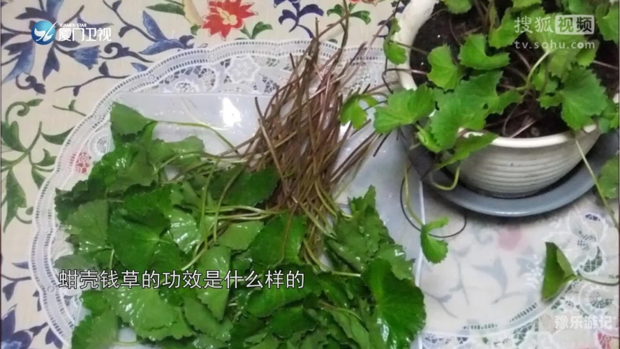 青草69视频青草视频，了解真相，远离不实内容