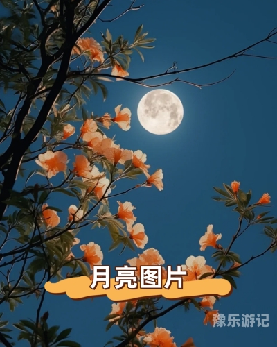 国产在线观看精品，探索国产影视的魅力与价值国产在线观看精品国产羞羞