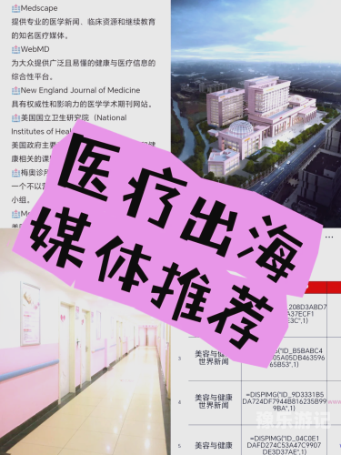 新闻资讯网站内容规范与优质资源推荐